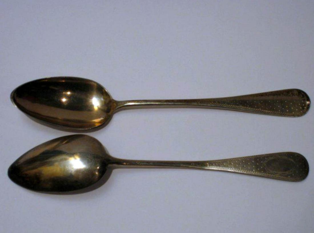 Two Silver Spoons (1 of 1)