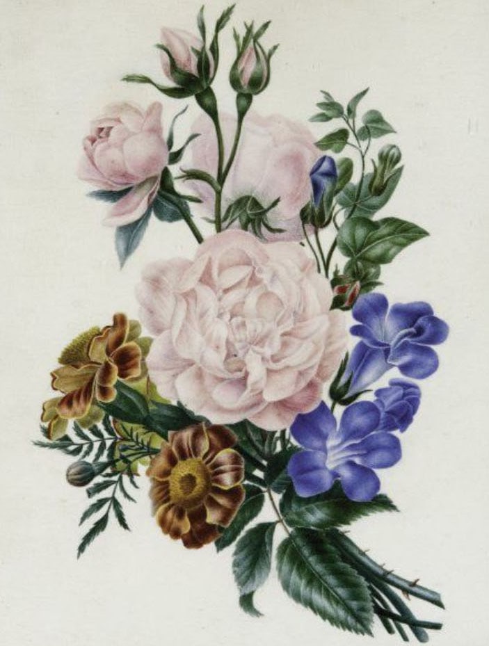 Watercolor Paint: 23 x 11 cm