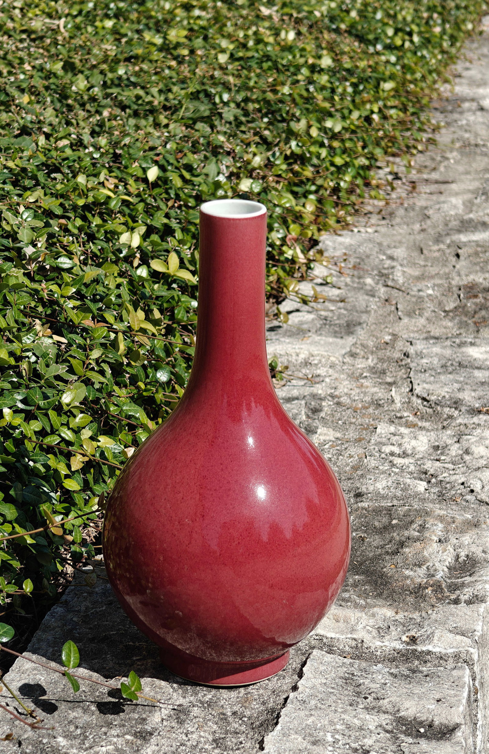 Chinese Red-Glazed Bottle Vase - 9
