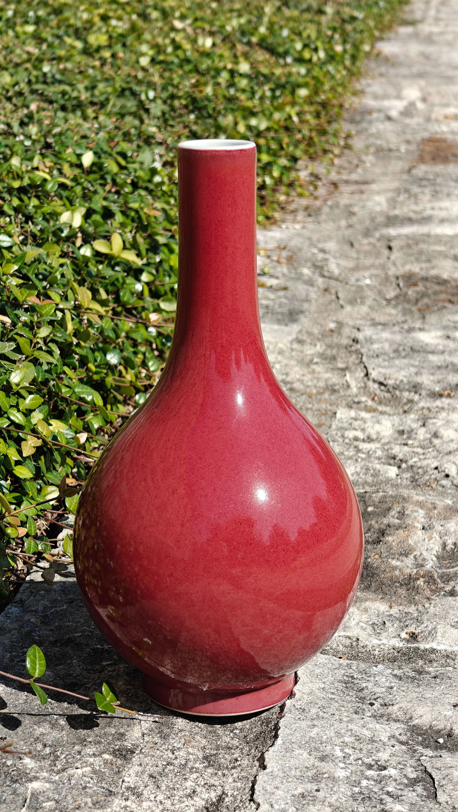 Chinese Red-Glazed Bottle Vase - 10