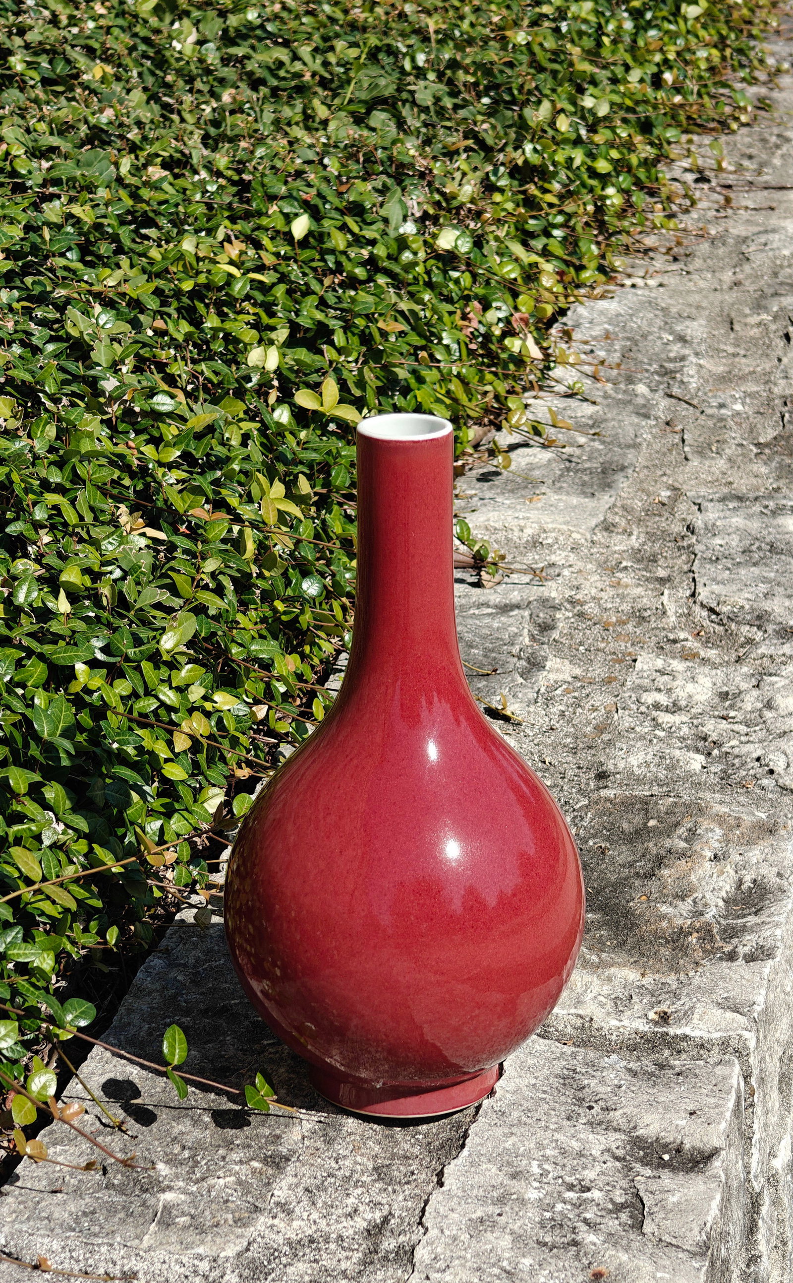 Chinese Red-Glazed Bottle Vase - 11