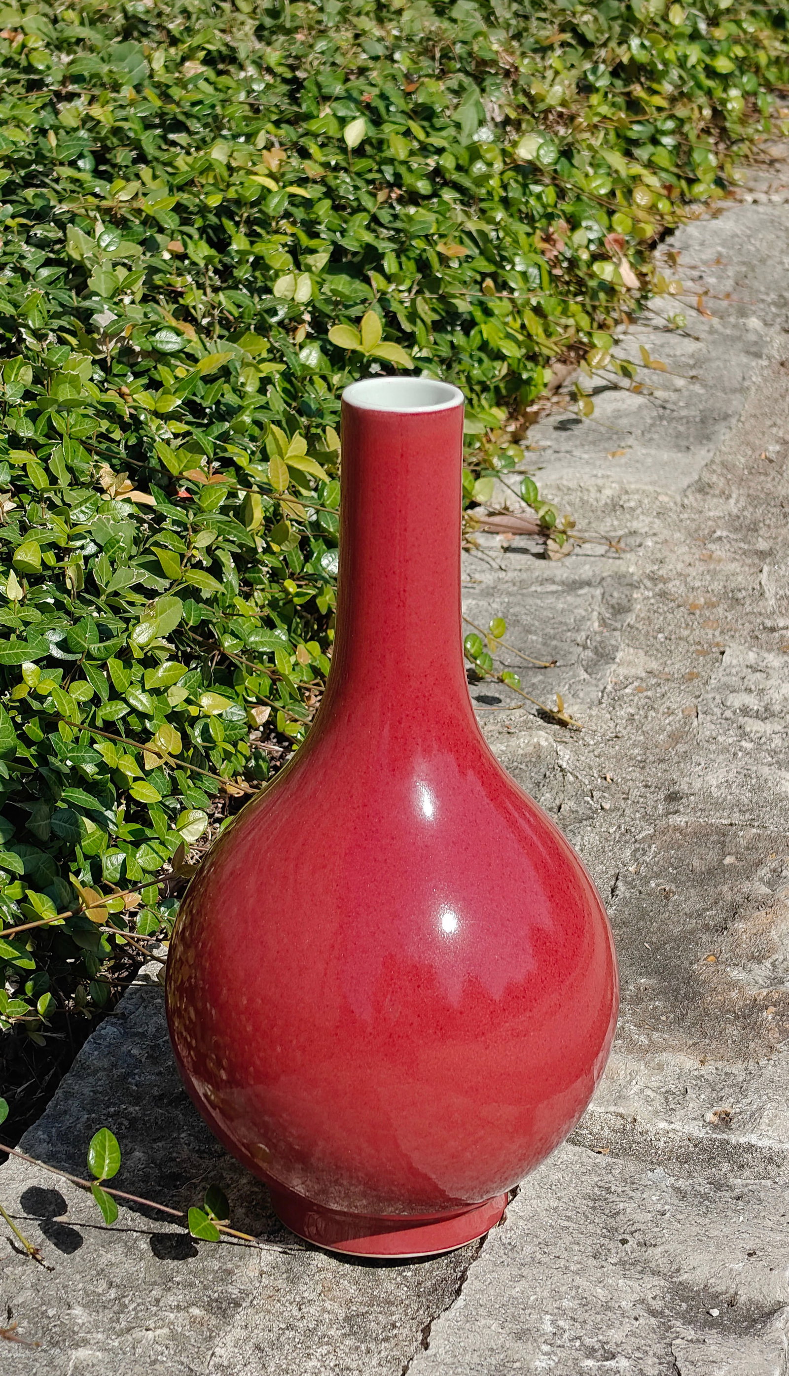Chinese Red-Glazed Bottle Vase - 12