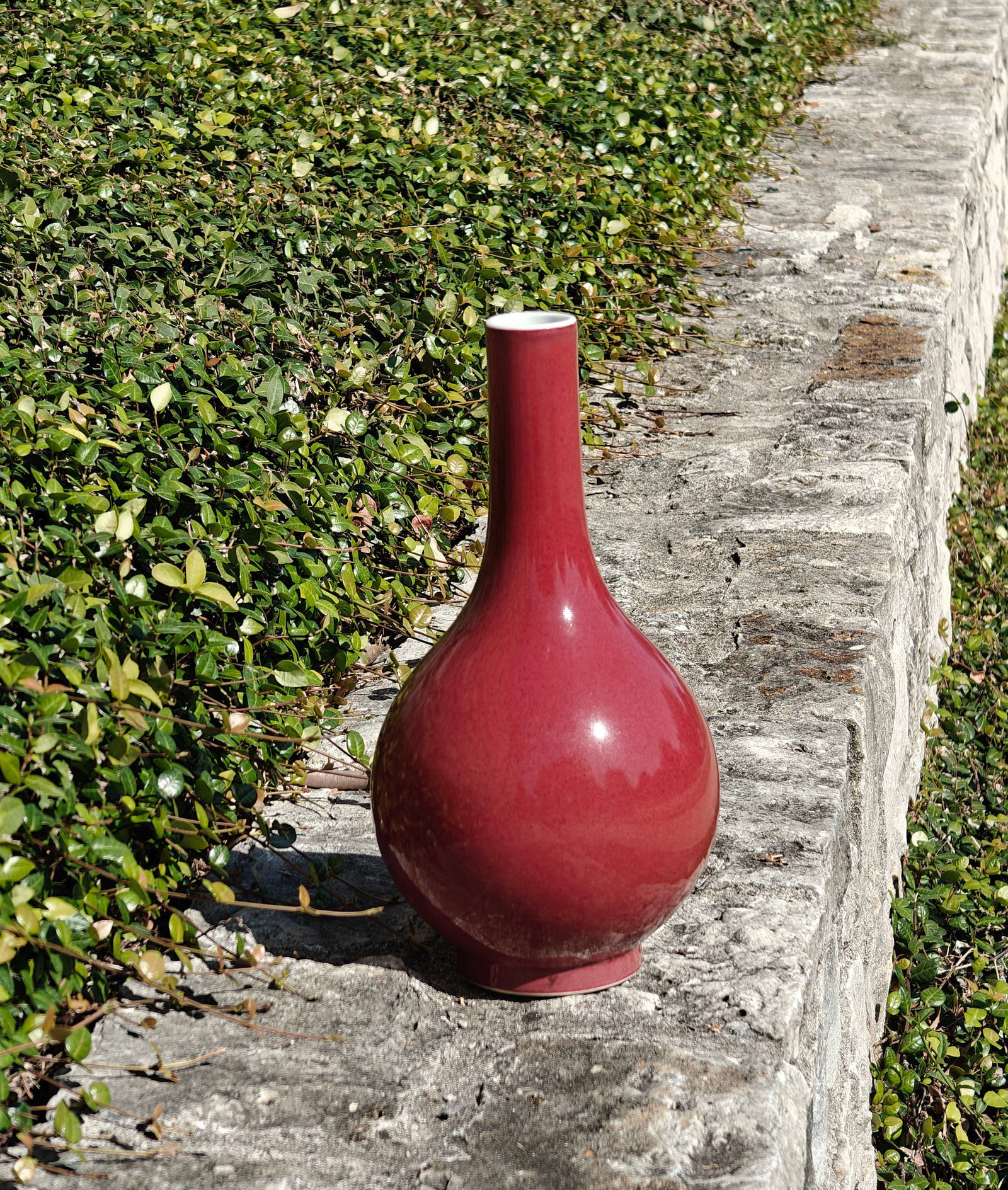 Chinese Red-Glazed Bottle Vase - 5