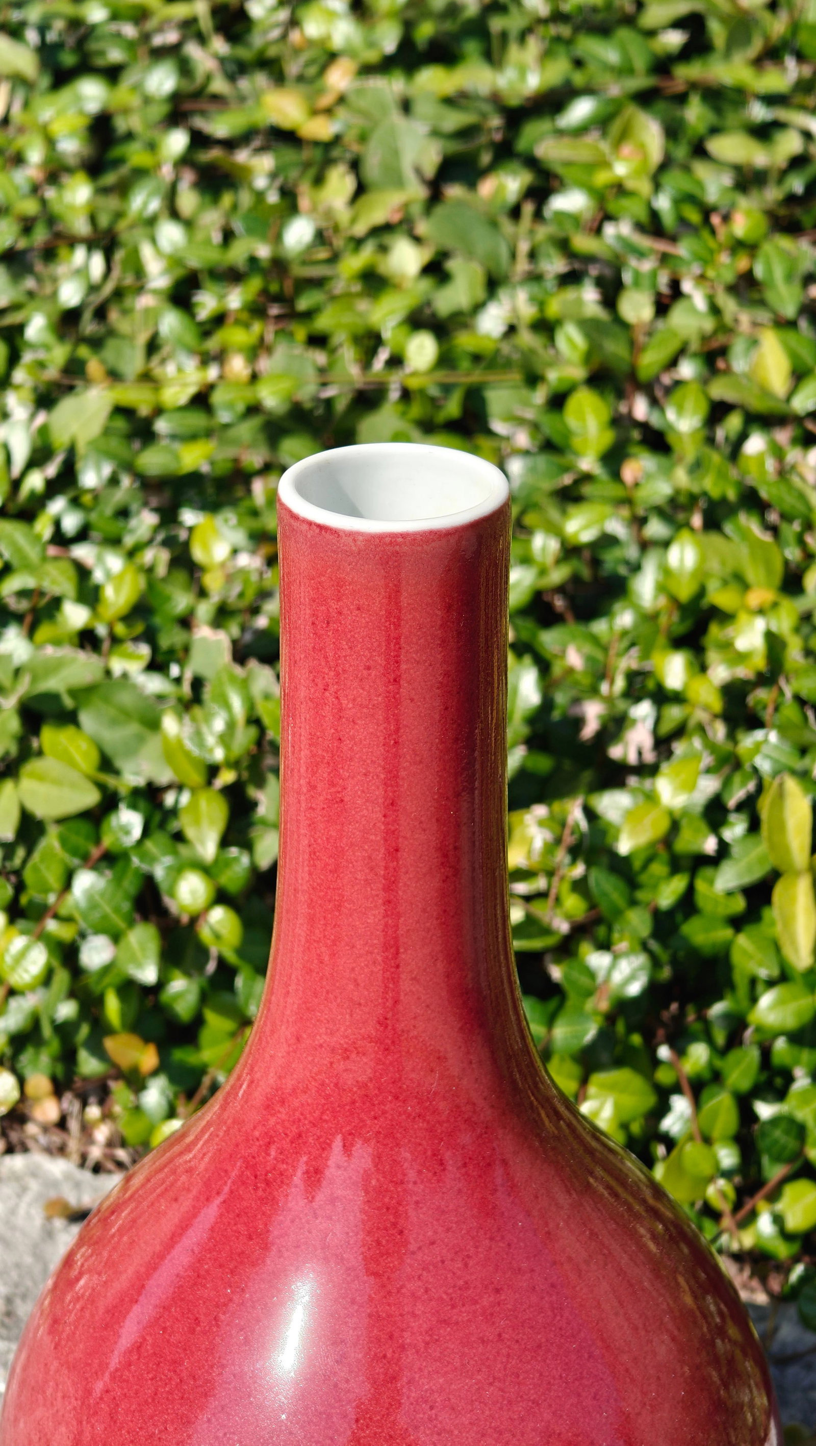 Chinese Red-Glazed Bottle Vase - 6
