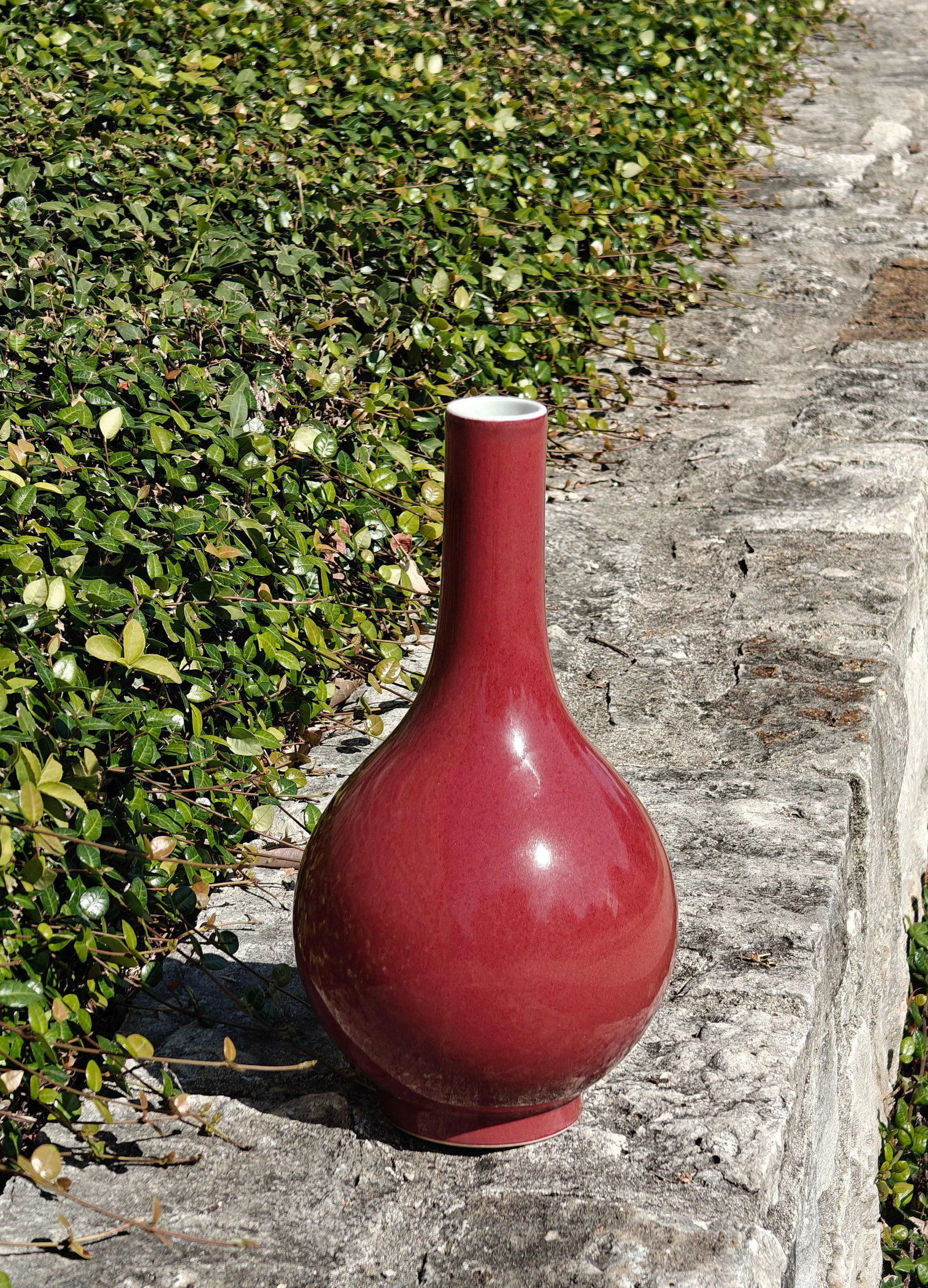 Chinese Red-Glazed Bottle Vase - 7