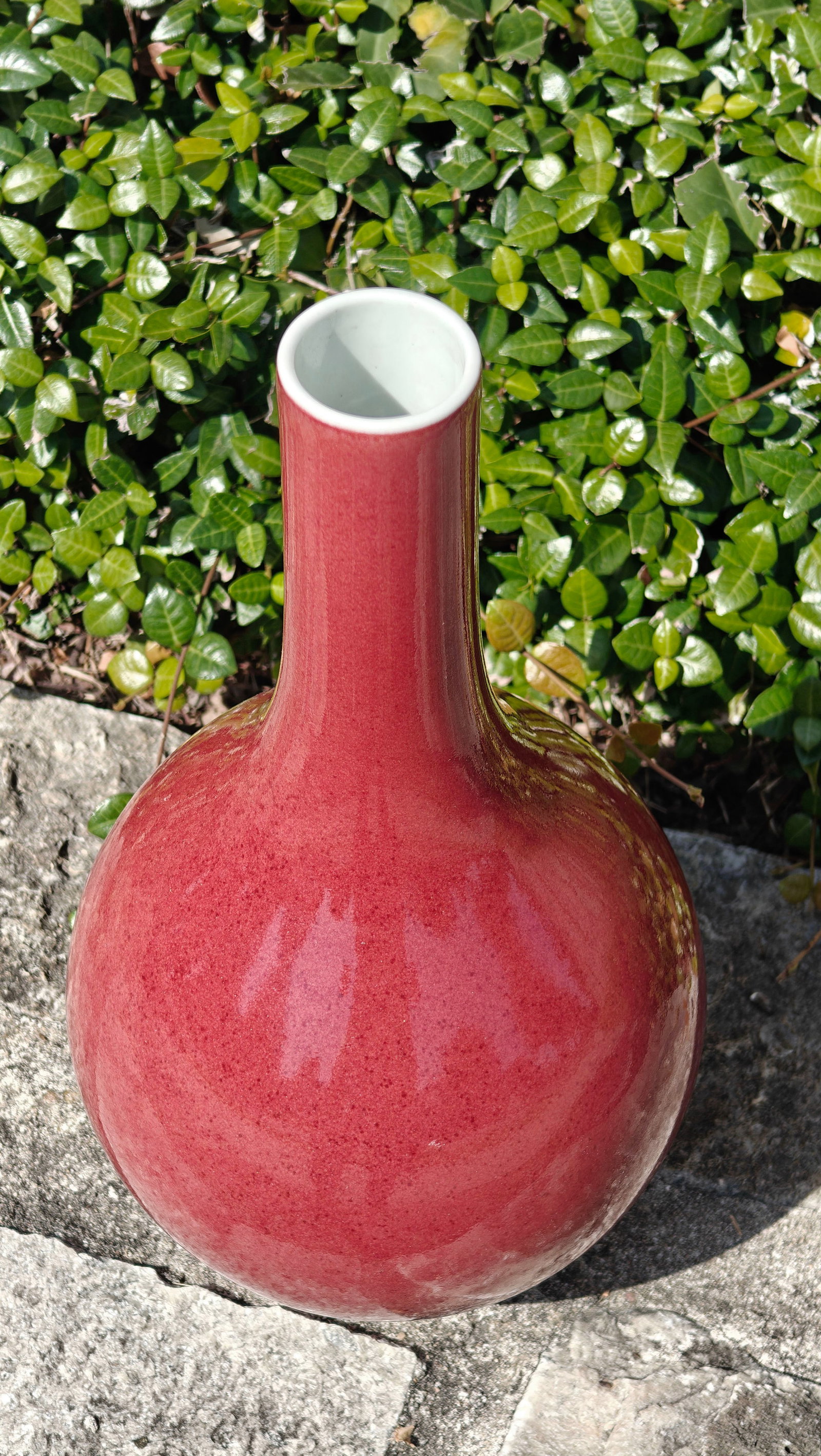 Chinese Red-Glazed Bottle Vase - 8