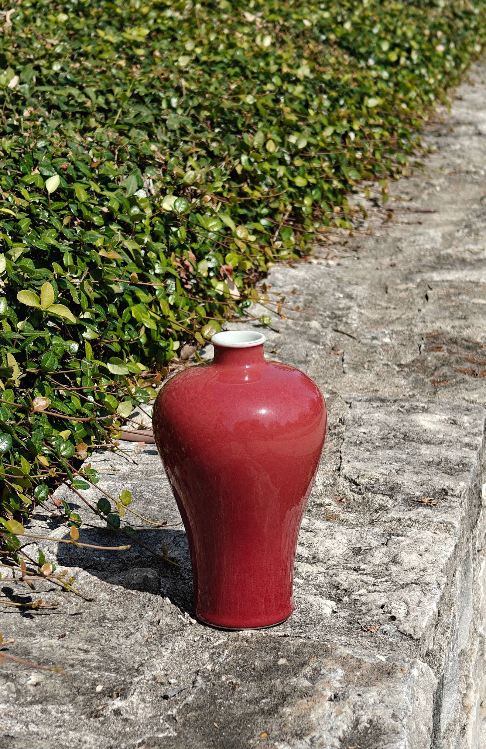 Fine Chinese Red-Glazed Bottle - 4