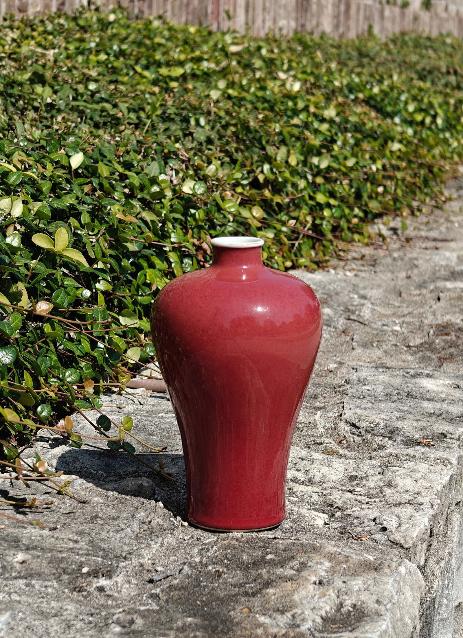 Fine Chinese Red-Glazed Bottle - 5