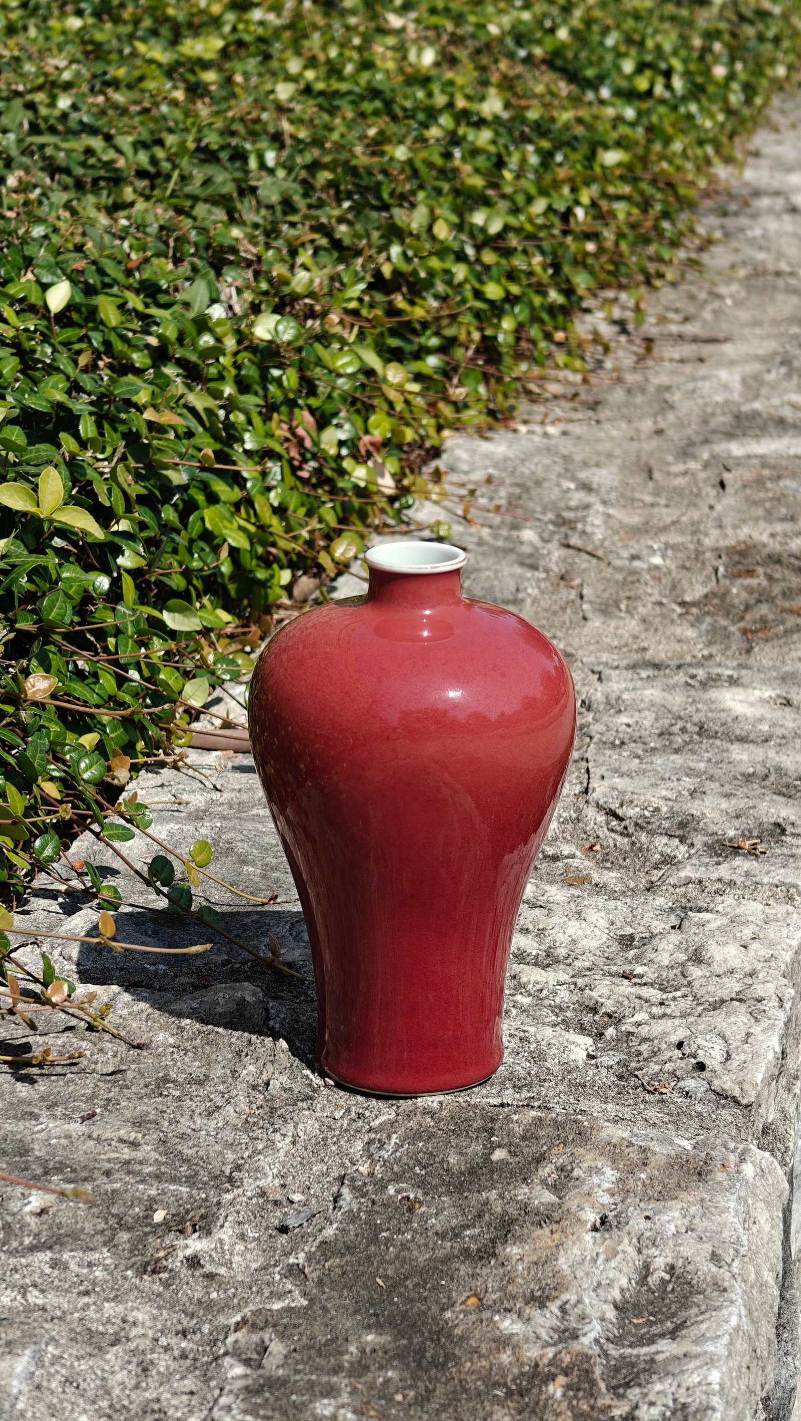 Fine Chinese Red-Glazed Bottle - 6