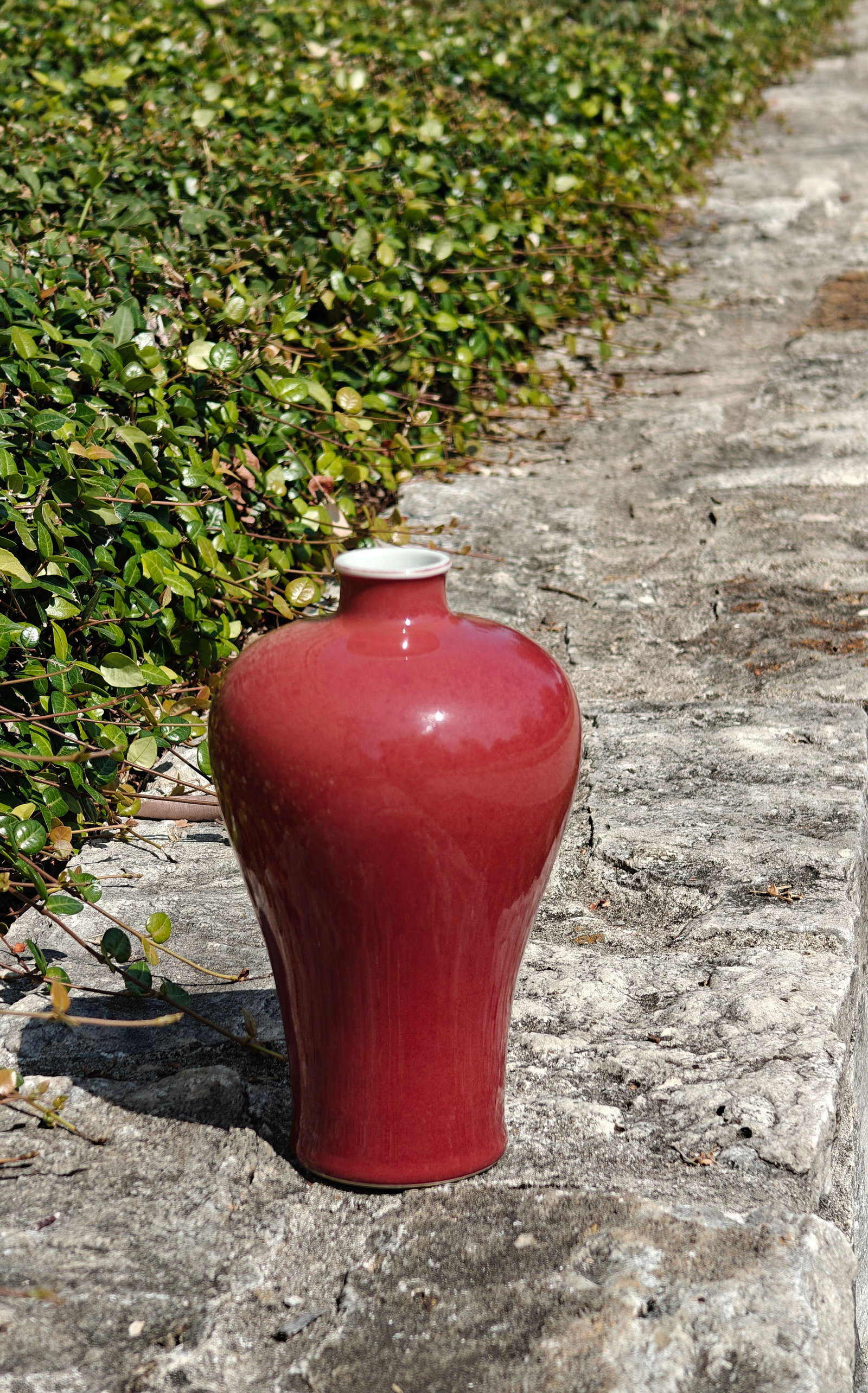 Fine Chinese Red-Glazed Bottle - 7