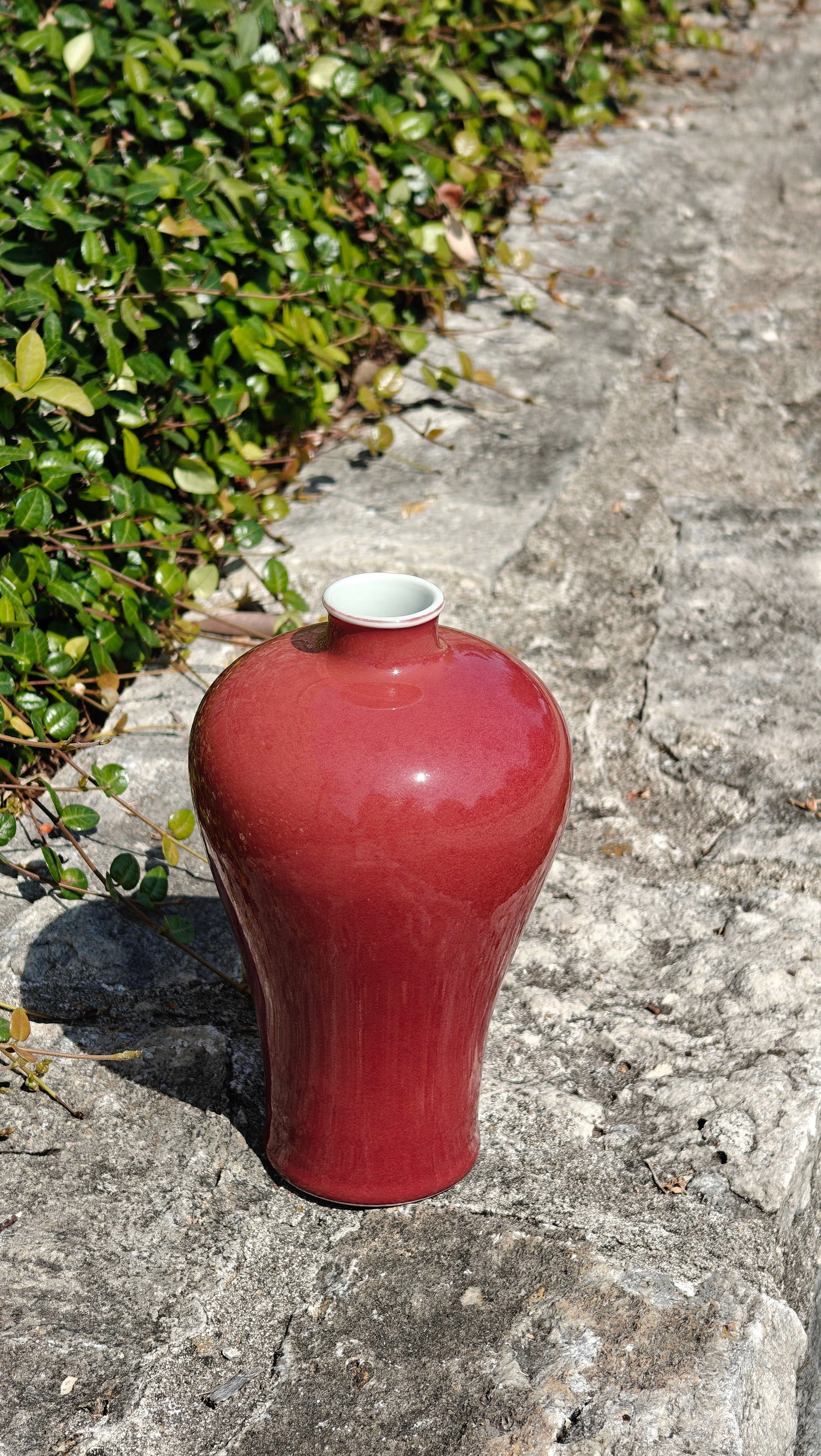 Fine Chinese Red-Glazed Bottle - 8