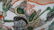 Large Chinese Porcelain Bowl 同治 - 11