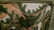 Large Chinese Porcelain Bowl 同治 - 8