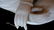 Chinese Blanc de Chine Dehua Guanyin 何朝 - 10