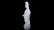 Chinese Blanc de Chine Dehua Guanyin 何朝 - 5