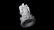 Chinese Blanc de Chine Dehua Guanyin 何朝 - 9