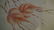 Chinese Antique Painting 齐白石 - 11