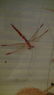 Chinese Antique Painting 齐白石 - 7