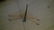 Chinese Antique Painting 齐白石 - 8