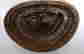 item-98833279=13