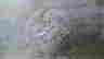 item-111000270=12