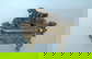 item-183964337=12