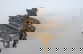 item-183964337=13