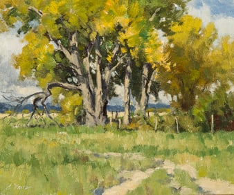 Charles Fritz, "Summer Shade"