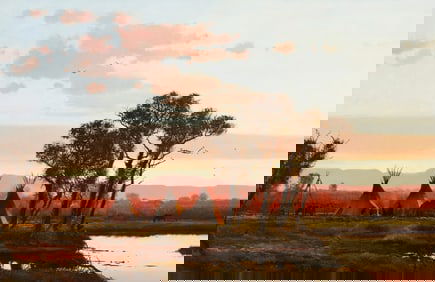 Michael Coleman, "Sunset Encampment"