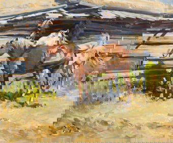 Conrad Schwiering, "The Pesky Fly"