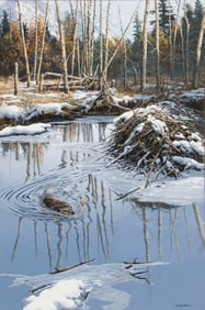 John Seerey-Lester, "Before the Freeze"