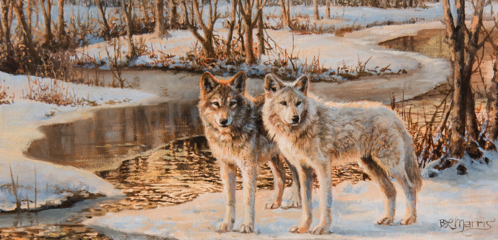 Bonnie Marris, "Untitled (Two wolves)" (1 of 3)