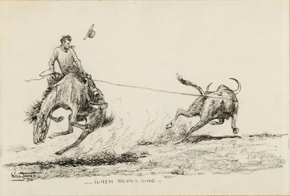Will James, "When Ropes Sing"