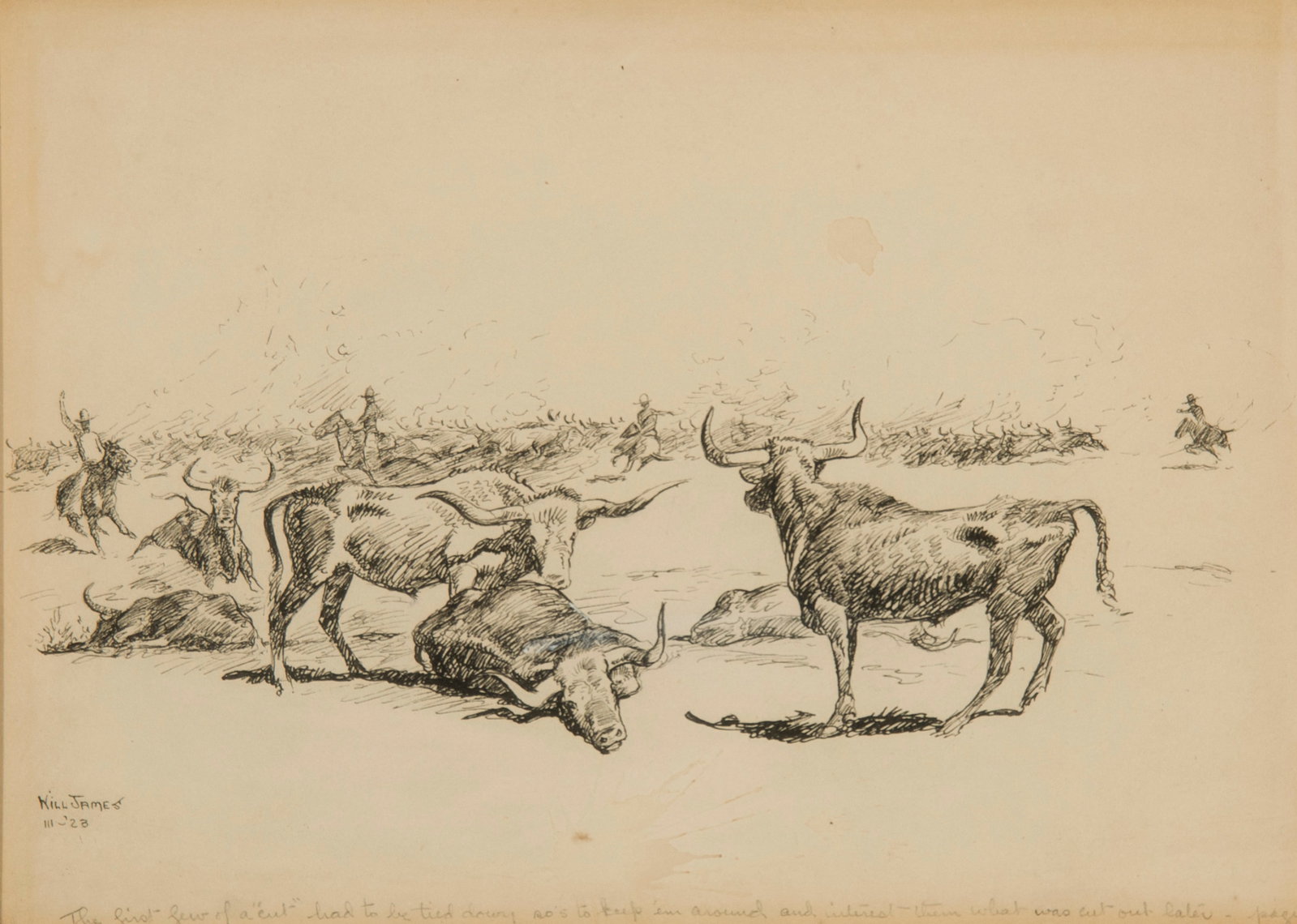 Will James, "The First Few of a Cut...": Will James (1892-1942), "The First Few of a Cut...", Pen & Ink, 9 1/2 x 13 1/4 inches, Shipping Dimensions: 21 x 24 x 3 inches Signed and dated 23 lower left