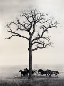 Rachel Brownlee, "Standing Up to the Sky"