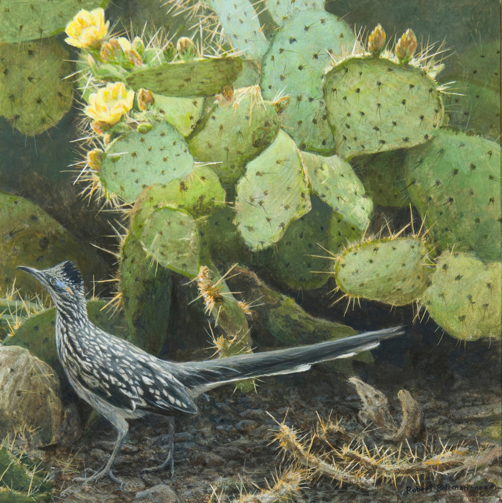 Robert Bateman, "Cactus and Roadrunner" (1 of 3)