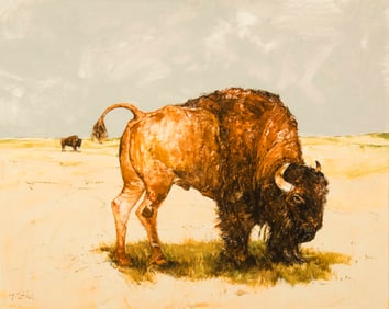 Paul Pletka, "Untitled (Buffalo)"