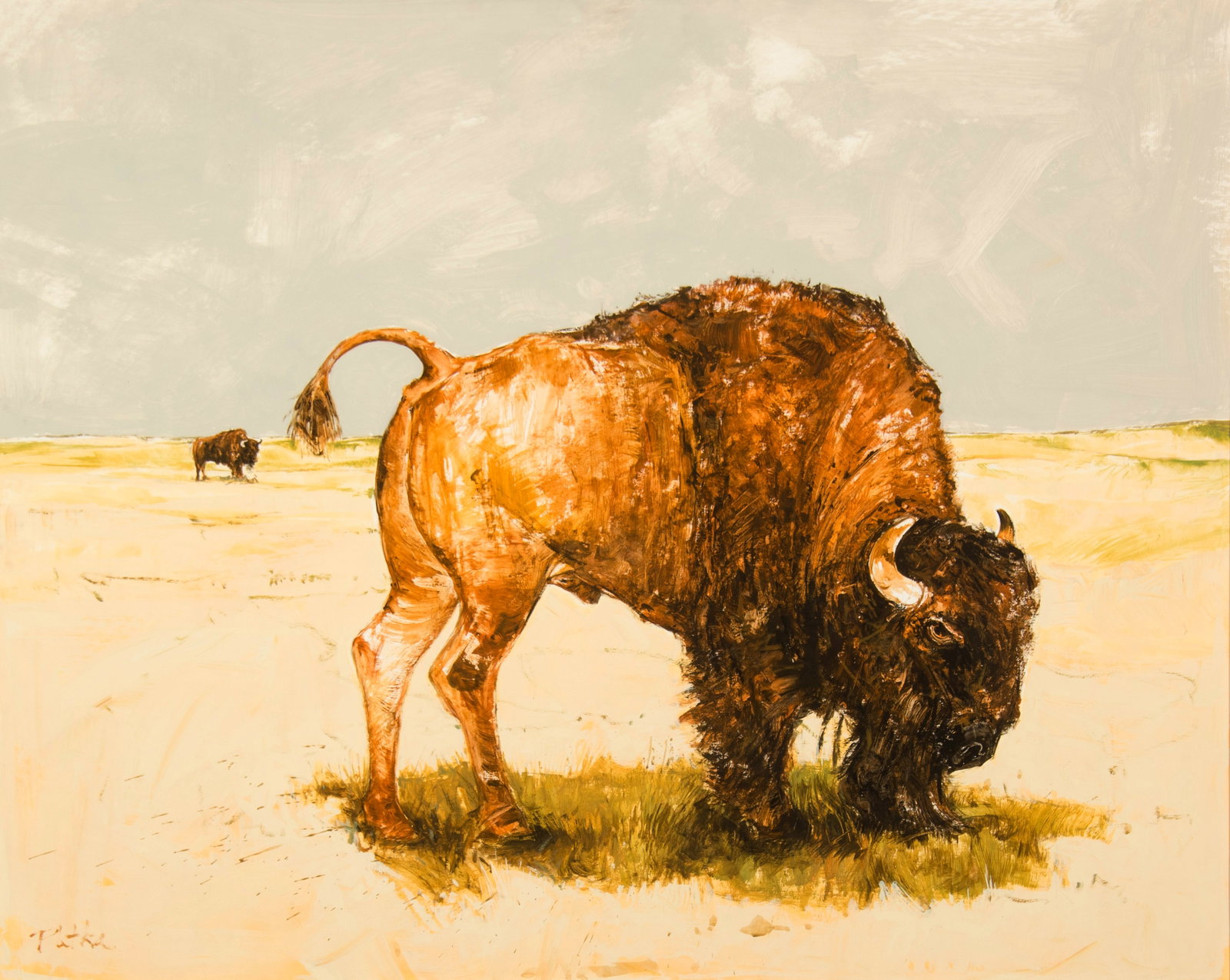 Paul Pletka, "Untitled (Buffalo)" (1 of 3)