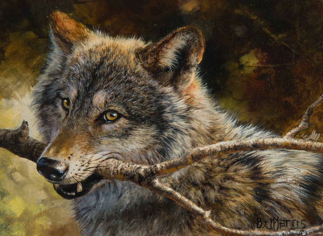 Bonnie Marris, "Wolf with Branch": Bonnie Marris (b. 1951), "Wolf with Branch", Oil on canvas, 9 x 12 inches, Shipping Dimensions: 15 x 18 x 3 inches Signed lower right