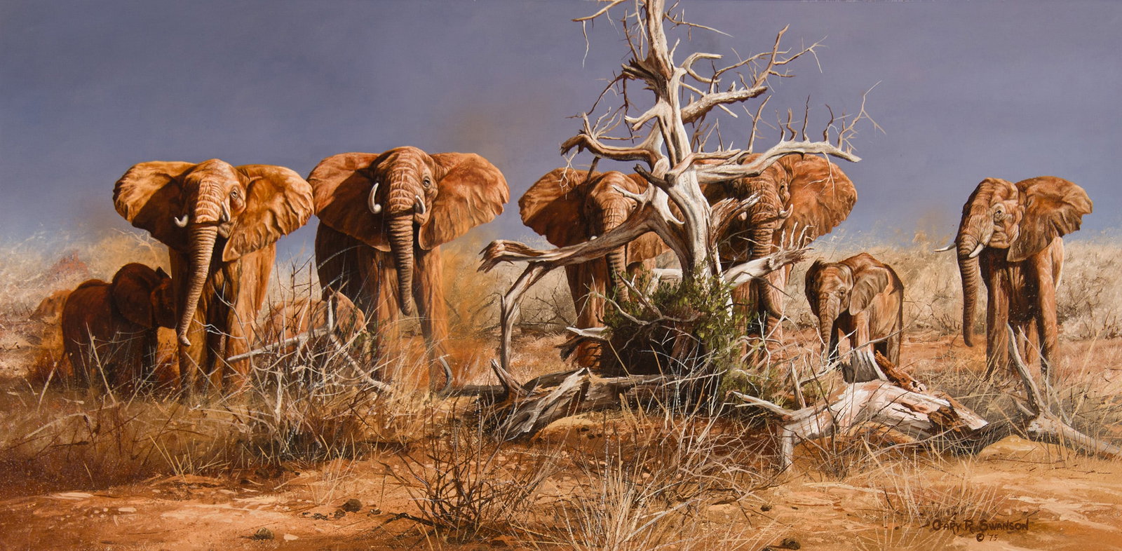 Gary Swanson, "Untitled (Elephant herd)" (1 of 3)