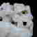 item-90567554=3