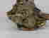 item-84280953=5