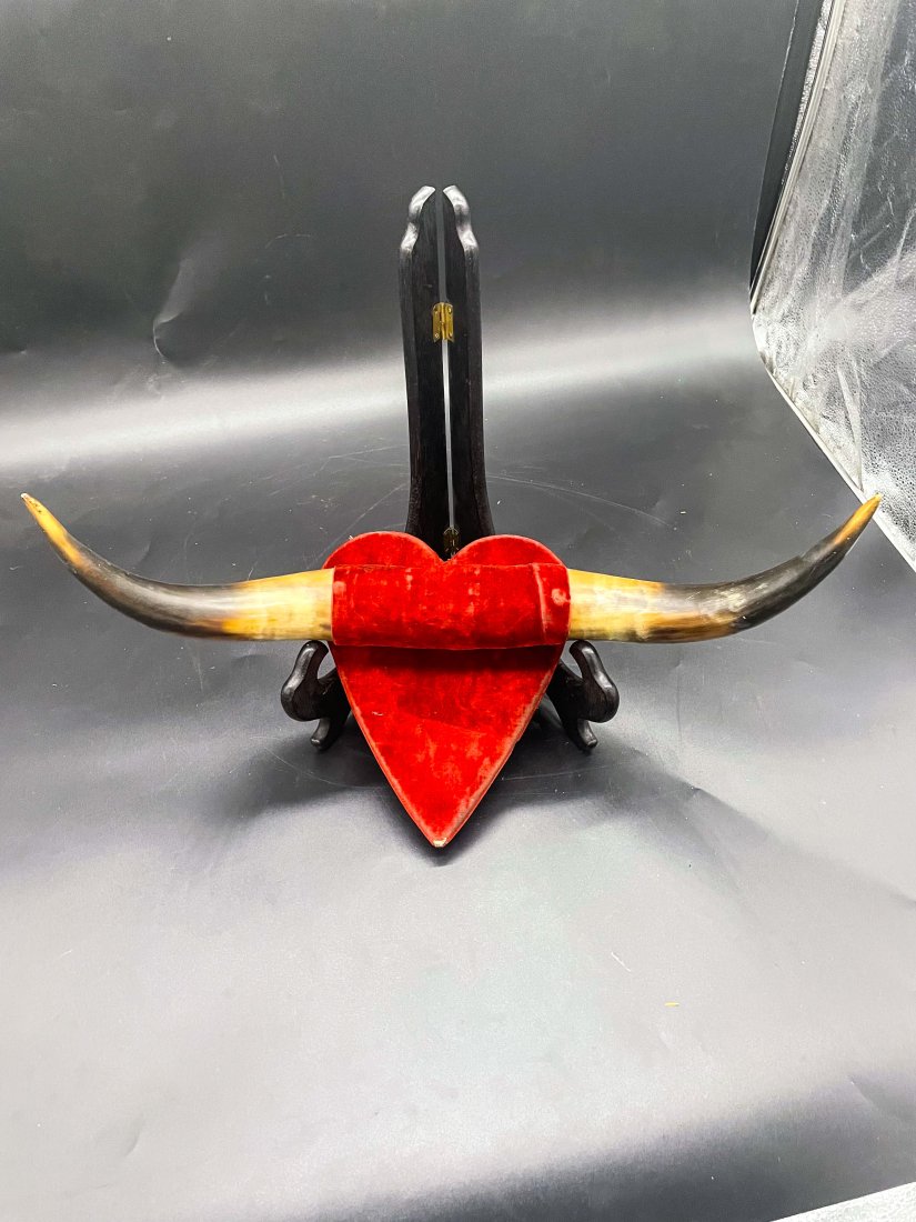 Folk Art Southwestern Mounted Bull Horns/Red Velvet Base Mount (1 of 8)