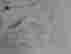 item-119525061=3