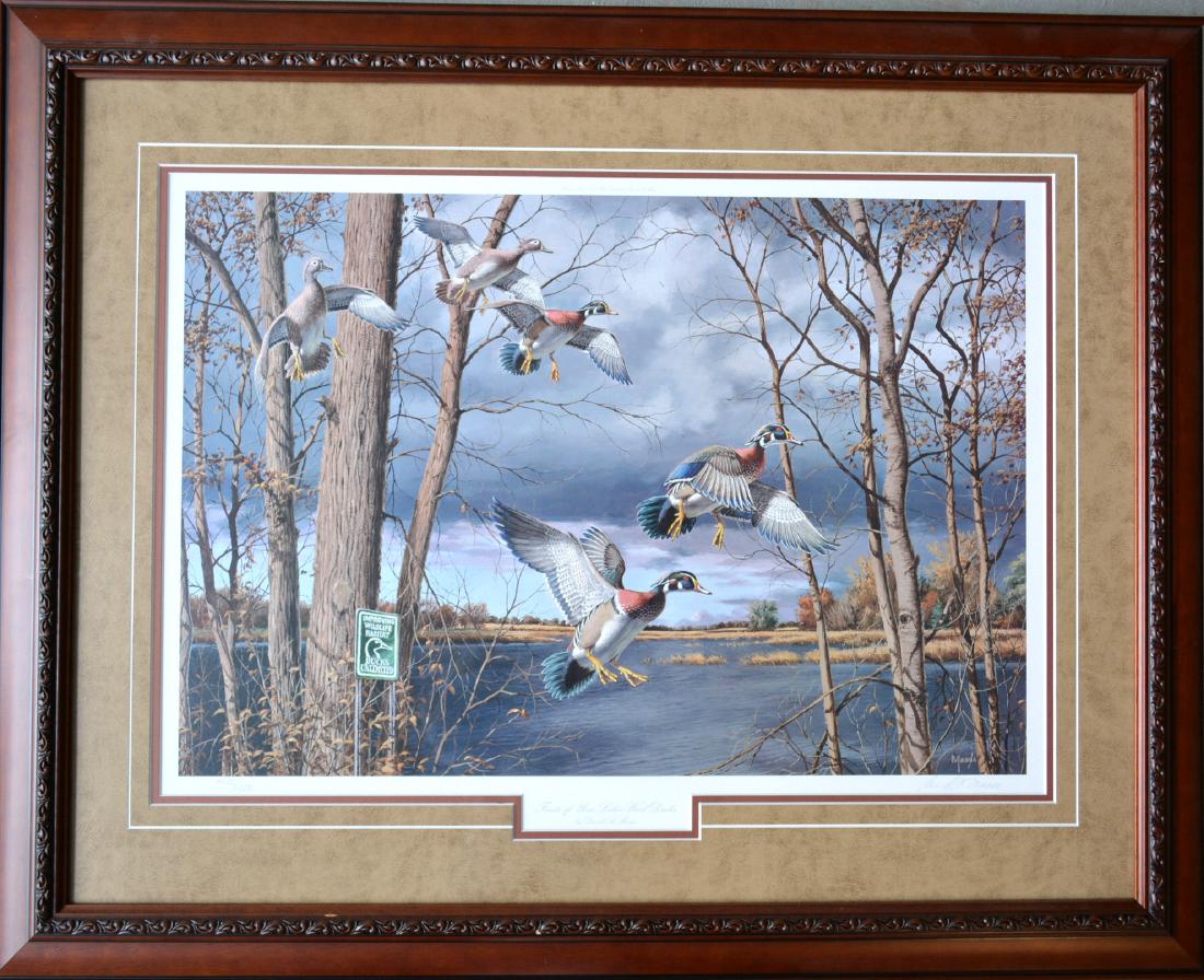 Two Ducks Unlimited wildlife prints including: "On The: Two Ducks Unlimited wildlife prints including: "On The Rise - Canvasbacks" pencil signed Daniel Smith (Montana, 20th century - Ducks Unlimited 2002 Artist of the Year) - limited edition 559/4900 - fra