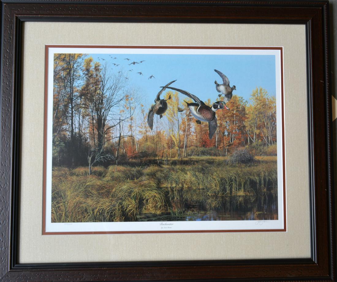 Two duck prints including: "Backwater" pencil signed by: Two duck prints including: "Backwater" pencil signed by Scot Storm (Minnesota wildlife artist) - limited edition 3539/5500 - framed and double matted - 34.5" x 29.5" - excellent condition; "October Ev
