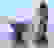 item-51633195=3