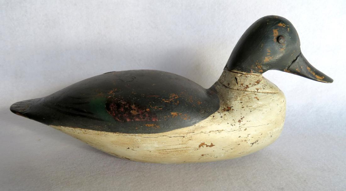 Broadbill decoy – appears to retain original paint. (1 of 5)