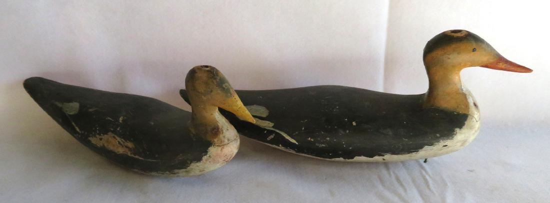 Two folky merganser decoys in original paint with inlet (1 of 10)