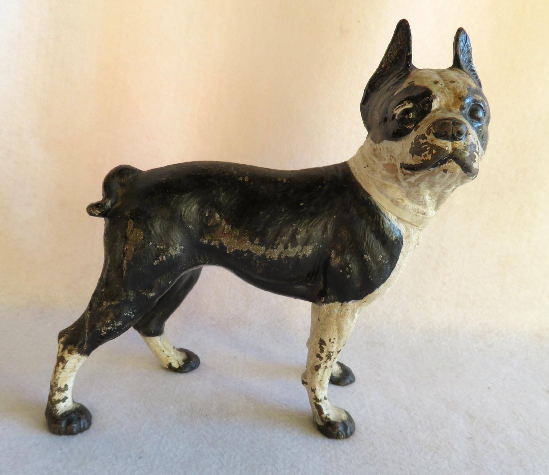 Cast iron full body Boston Bull door stop in original: Cast iron full body Boston Bull door stop in original black and white paint - very good condition. 10"L x 10.25"H.